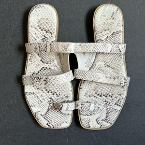 a new day scale sandal 6.5